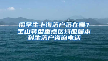 留学生上海落户落在哪？宝山转型重点区域应届本科生落户咨询电话