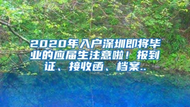 2022年，留学生落户深圳政策是否有变？看这里