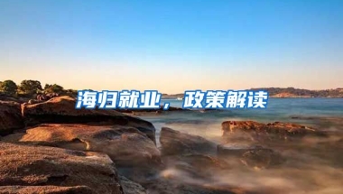 海归就业，政策解读