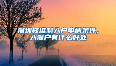 深圳核准制入户申请条件,入深户有什么好处