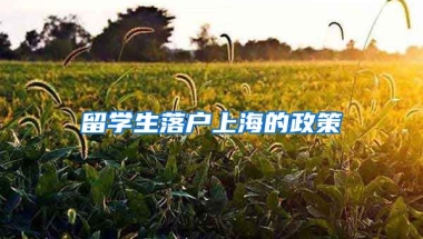 留学生落户上海的政策