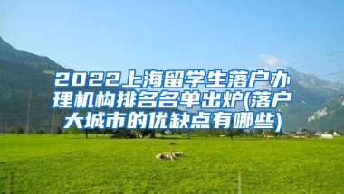 2022上海留学生落户办理机构排名名单出炉(落户大城市的优缺点有哪些)