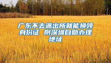 龙岗今年已引进1.5万名高校毕业生，打造深圳东部人才高地