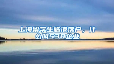 上海留学生临港落户，什么叫530企业