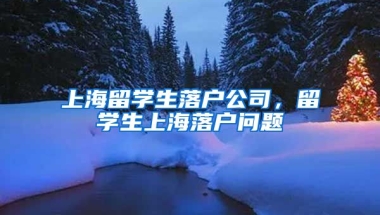 上海留学生落户公司，留学生上海落户问题