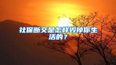 2022年上海落户现状！哪些人群更适合在上海扎根落户呢？