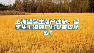 上海留学生落户注册，留学生上海落户档案审查什么？