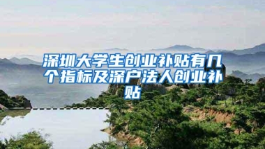 2022落户深圳难度仅次于北京上海？入户深圳该怎样办理？