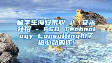 留学生海归求职 ｜ 安永社招 - FSO Technology Consulting拍了拍心动的你!