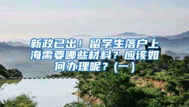 新政已出！留学生落户上海需要哪些材料？应该如何办理呢？(一）