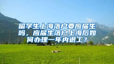 留学生上海落户要应届生吗，应届生落户上海后如何办理一年内退工？