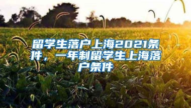 留学生落户上海2021条件，一年制留学生上海落户条件