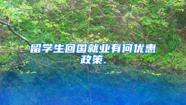 留学生回国就业有何优惠政策.