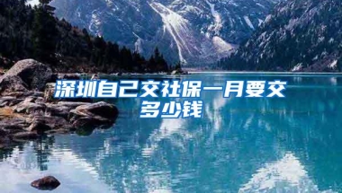 上海人才落户明起全面实现“一网通办”：材料更简化，流程更优化，过程更透明