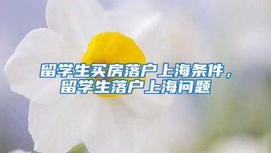 留学生买房落户上海条件，留学生落户上海问题