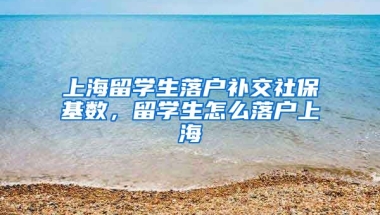 上海留学生落户补交社保基数，留学生怎么落户上海