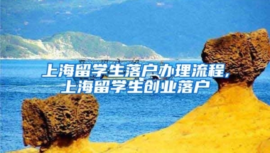 上海留学生落户办理流程,上海留学生创业落户