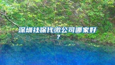 落户深圳后会享受到哪些福利？入深户真的值吗？