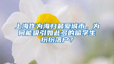 上海作为海归最爱城市，为何能吸引如此多的留学生纷纷落户？