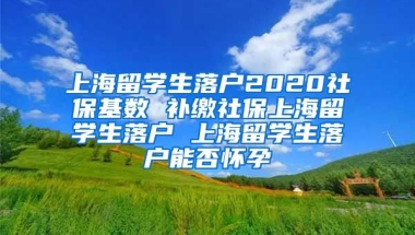 上海留学生落户2020社保基数 补缴社保上海留学生落户 上海留学生落户能否怀孕