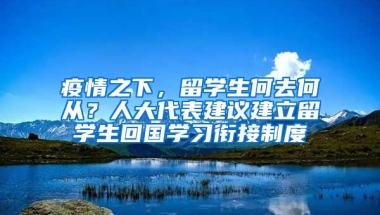 疫情之下，留学生何去何从？人大代表建议建立留学生回国学习衔接制度