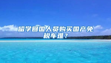 留学回国人员购买国产免税车难？