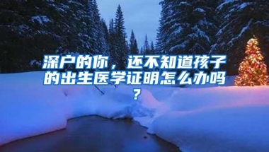 深圳未取消新引进人才租房和生活补贴 最高仍为3万元