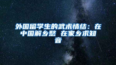 外国留学生的武术情结：在中国解乡愁 在家乡求知音