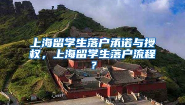 上海留学生落户承诺与授权，上海留学生落户流程？