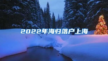 2022年海归落户上海