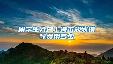 留学生入户上海市规划指导费用多少