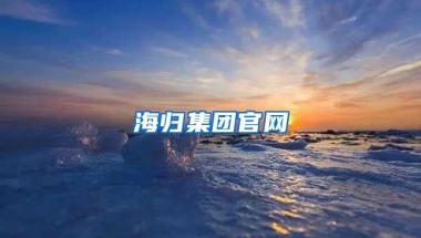 海归集团官网