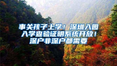 超全攻略！龙岗在职人才引进申请指南请收好！