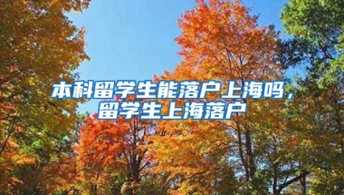 本科留学生能落户上海吗，留学生上海落户