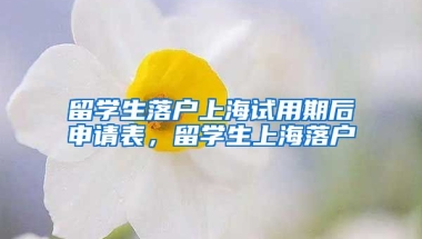 留学生落户上海试用期后申请表，留学生上海落户