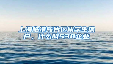 上海临港新片区留学生落户，什么叫530企业