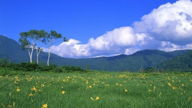 上海留学生落户办理需要多长时间？上海留学生落户靠谱中介