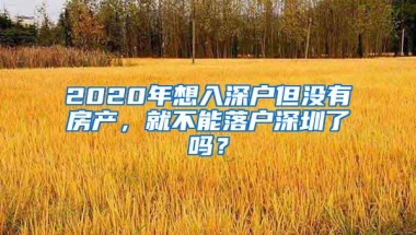 深圳积分入户：超生家庭如何办理入户？