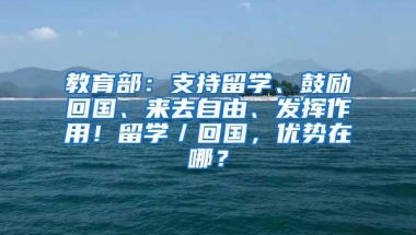 教育部：支持留学、鼓励回国、来去自由、发挥作用！留学／回国，优势在哪？