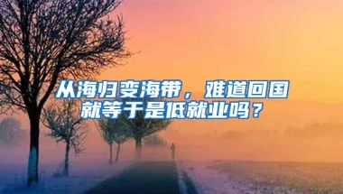 从海归变海带，难道回国就等于是低就业吗？