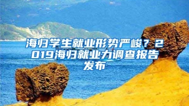 海归学生就业形势严峻？2019海归就业力调查报告发布