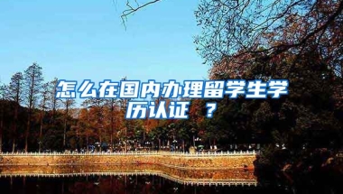 怎么在国内办理留学生学历认证 ？