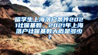 留学生上海落户条件2021社保基数，2021年上海落户社保基数大概是多少？