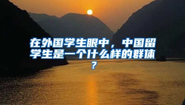 在外国学生眼中，中国留学生是一个什么样的群体？