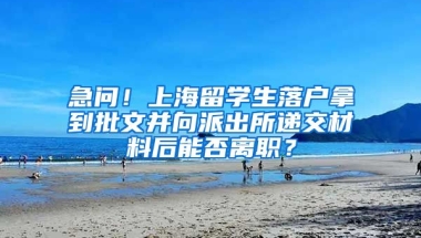 急问！上海留学生落户拿到批文并向派出所递交材料后能否离职？