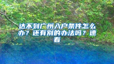 2022年落户上海最宽松的政策排名分析，原因你知道多少？