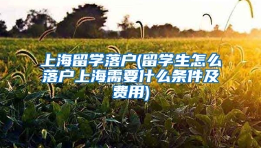 上海留学落户(留学生怎么落户上海需要什么条件及费用)