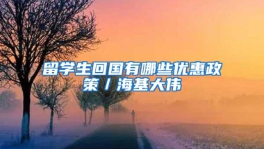 人才引进取消代理环节 深圳市人社局联手百度清理钓鱼网站