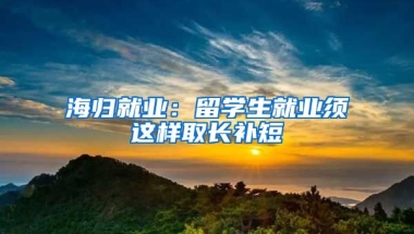 海归就业：留学生就业须这样取长补短