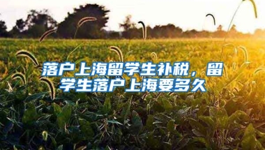 落户上海留学生补税，留学生落户上海要多久